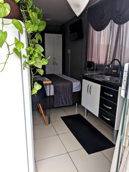 Tiny House Paraiso Minicasas Com Hidromassagem Pouso Alegre Kültér fotó